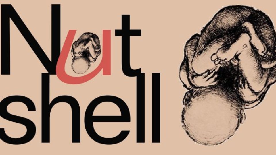 Review of Nutshell by Ian McEwan: comico-erotic Hamlet